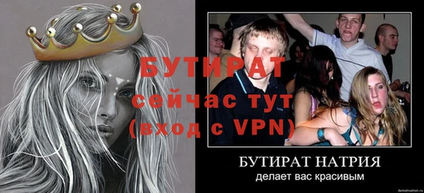 шишки Богородицк