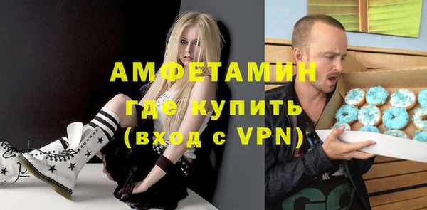 шишки Богородицк