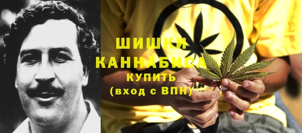 шишки Богородицк