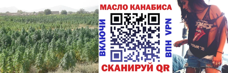 ТГК жижа  Елизаветинская 