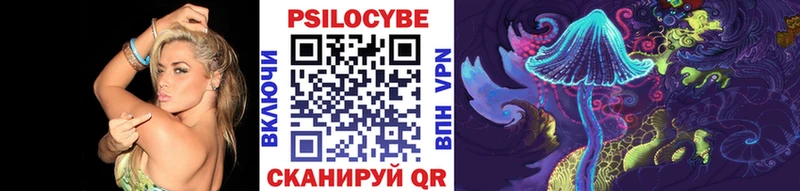 Псилоцибиновые грибы MAGIC MUSHROOMS  хочу наркоту  Елизаветинская 